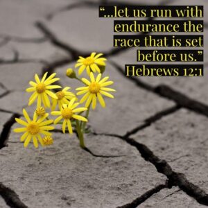 Let Us Run With Endurance